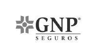 GNP