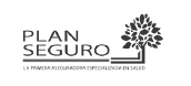 Plan Seguro
