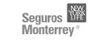 Seguros Monterrey